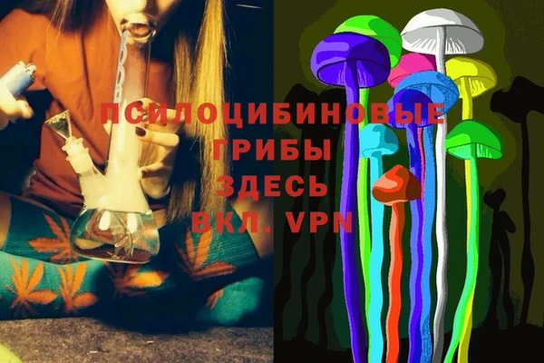 мяу мяу мука Аркадак