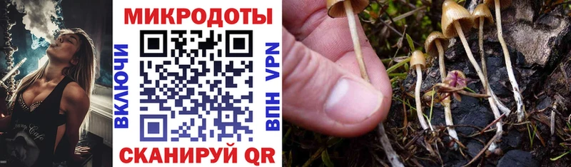 shop формула  Снежногорск  Галлюциногенные грибы Psilocybe 